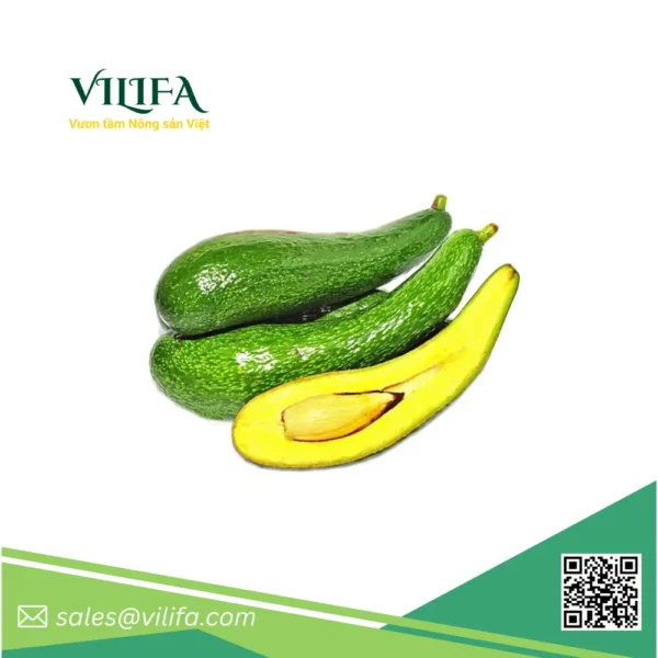 Bơ 034 Đông Lạnh
