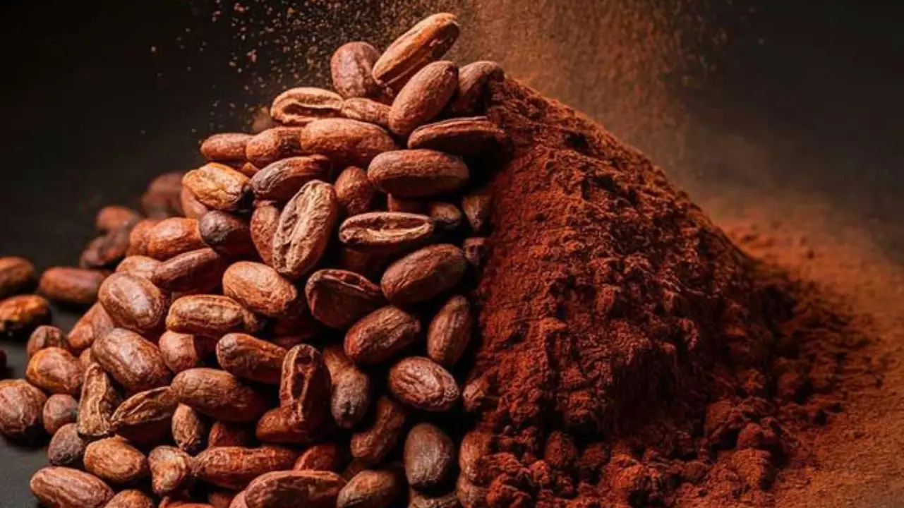 bột cacao nguyên chất