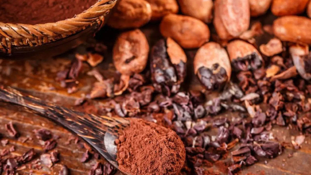 bột cacao nguyên chất