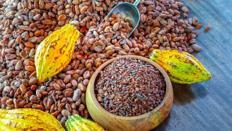 Cacao Nibs