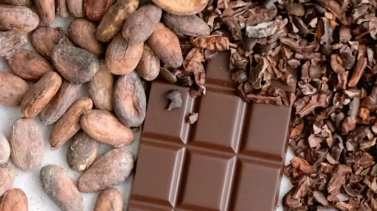 gia công cacao