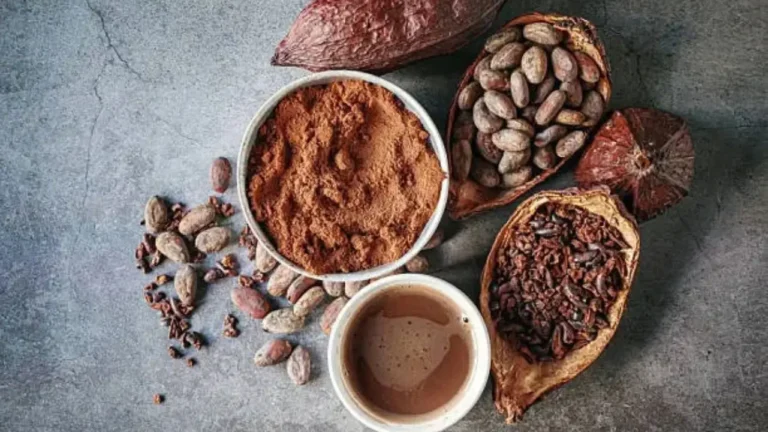 Bột cacao pha chế cho quán