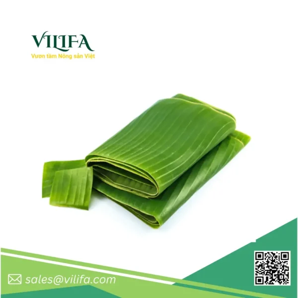 lá chuối đông lạnh