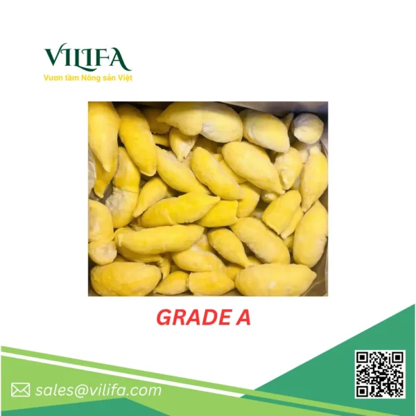 sau-rieng-thai-cap-dong (1) Sầu Riêng Thái / Monthong Đông Lạnh từ Việt Nam