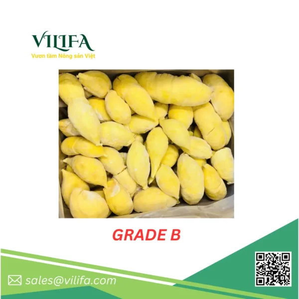 sau-rieng-thai-cap-dong (6) Sầu Riêng Thái / Monthong Đông Lạnh từ Việt Nam