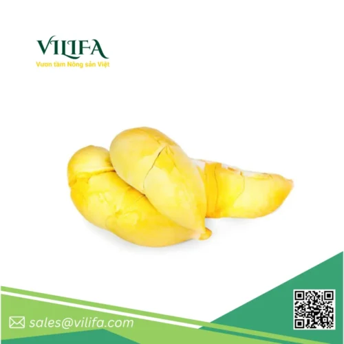 Sầu Riêng Thái / Monthong Đông Lạnh từ Việt Nam