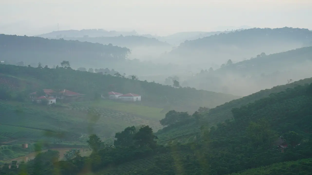 cà phê bảo lộc