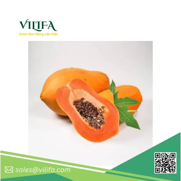 Đu Đủ Đông Lạnh