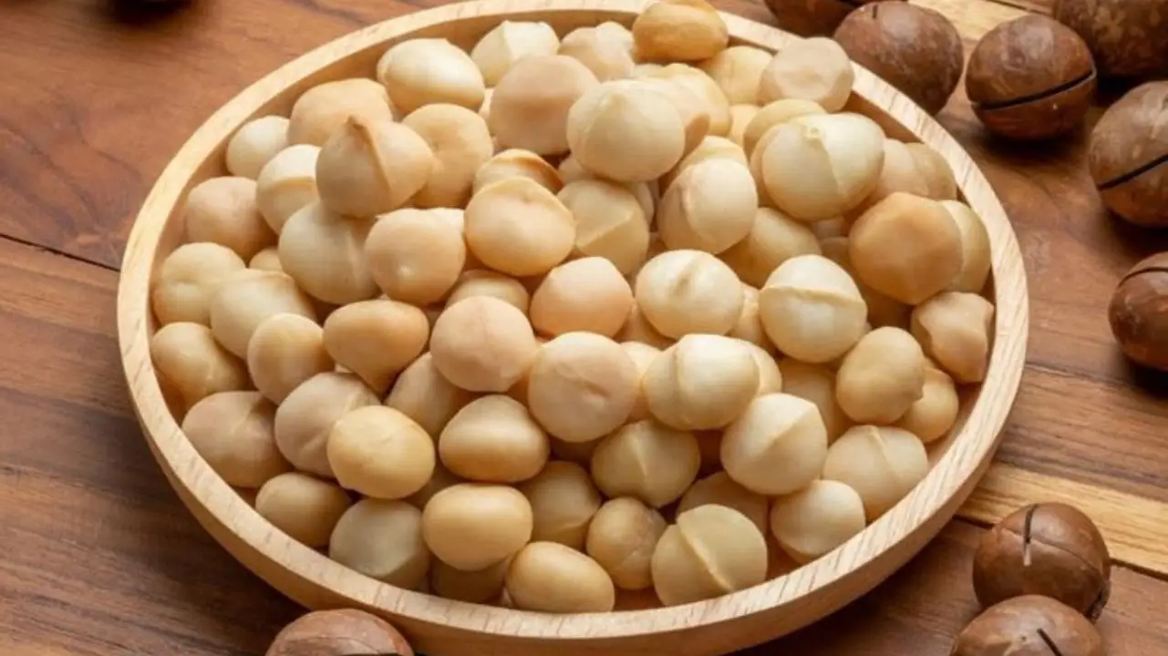 hạt macca