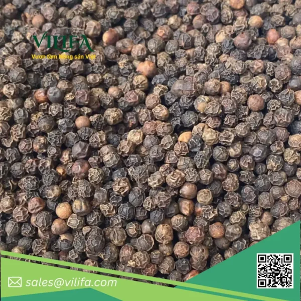 hat-tieu-xuat-khau (3) Tiêu Đen Xuất Khẩu