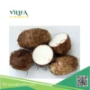 khoai-mon-dong-lanh (1) Khoai Môn Đông Lạnh Việt Nam