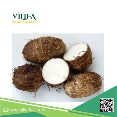 khoai-mon-dong-lanh (1) Khoai Môn Đông Lạnh Việt Nam