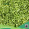 lá dền đông lạnh