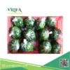 lá dền đông lạnh