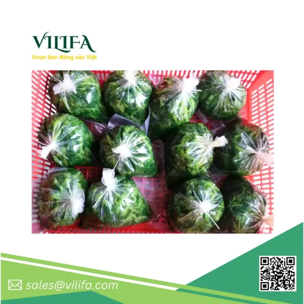 lá dền đông lạnh