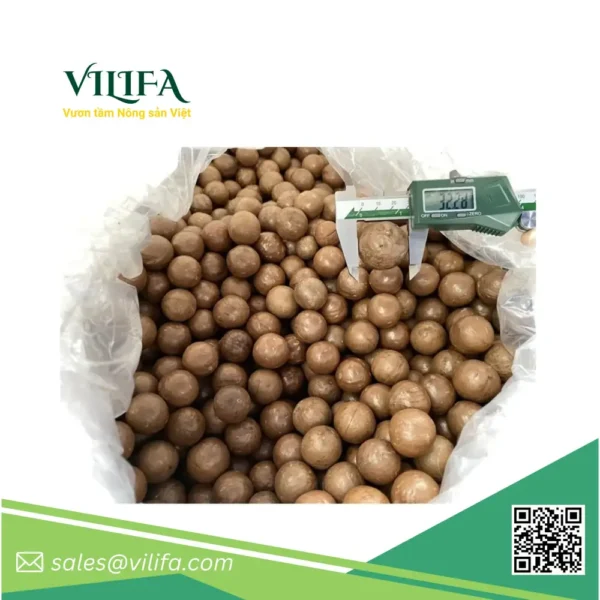 macca-xuat-khau (2) Macca Nứt Xuất Khẩu